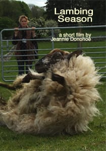 Lambing Season