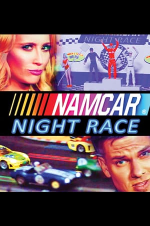 NAMCAR Night Race