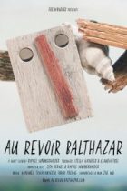 Au Revoir Balthazar