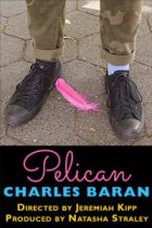 Pelican