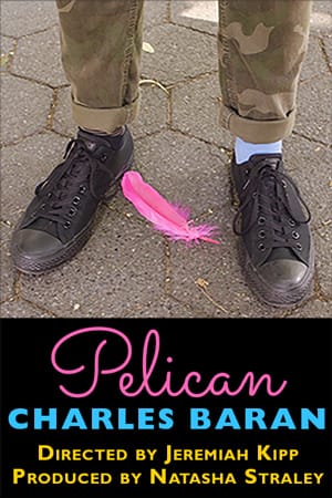Pelican