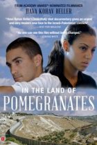 In The Land of Pomegranates