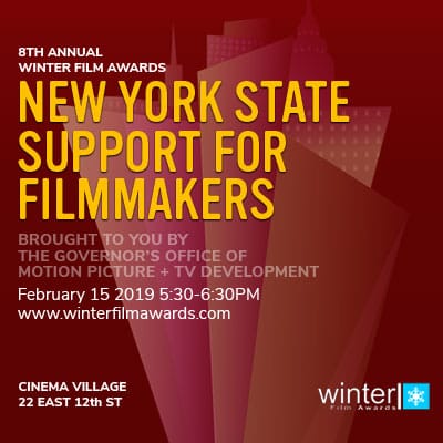 Disc-NYS-Governor-web2