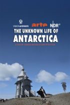 The Unknown Life Of Antarctica