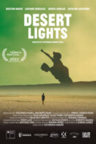 Desert Lights
