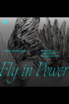 Fly in Power