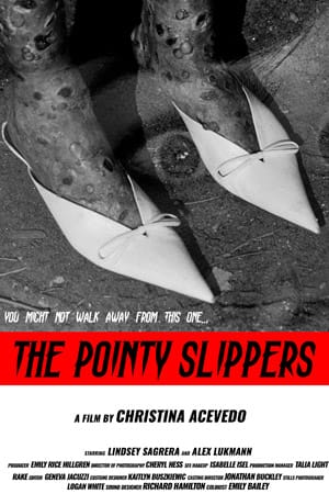 The Pointy Slippers